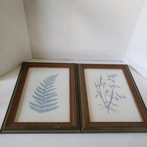 Framed Prints Of Wild Oats & Botanical Fern In Green Frames Avena Fatua LIX